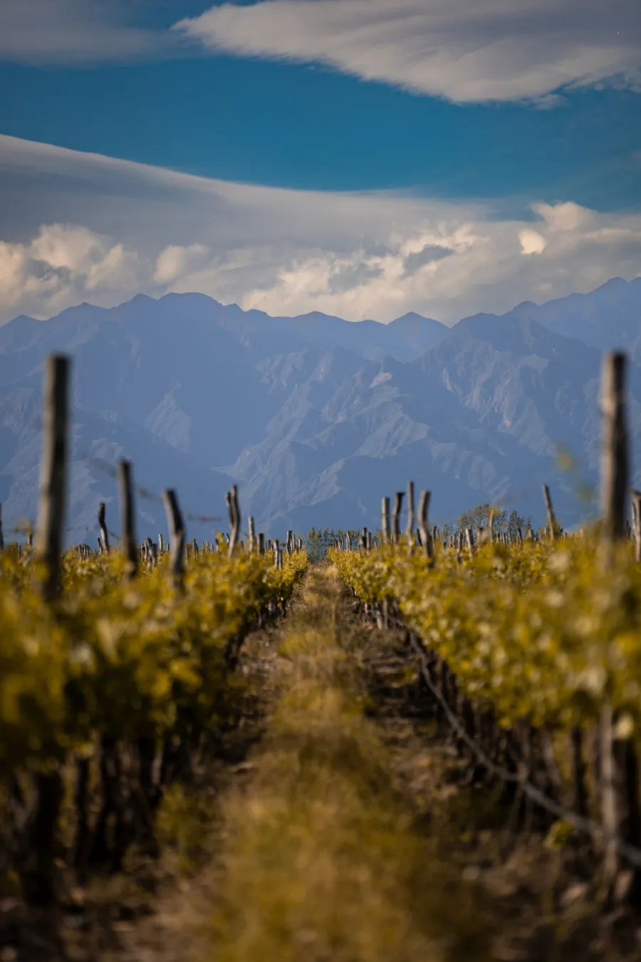 Panorama de montanhas em Mendoza